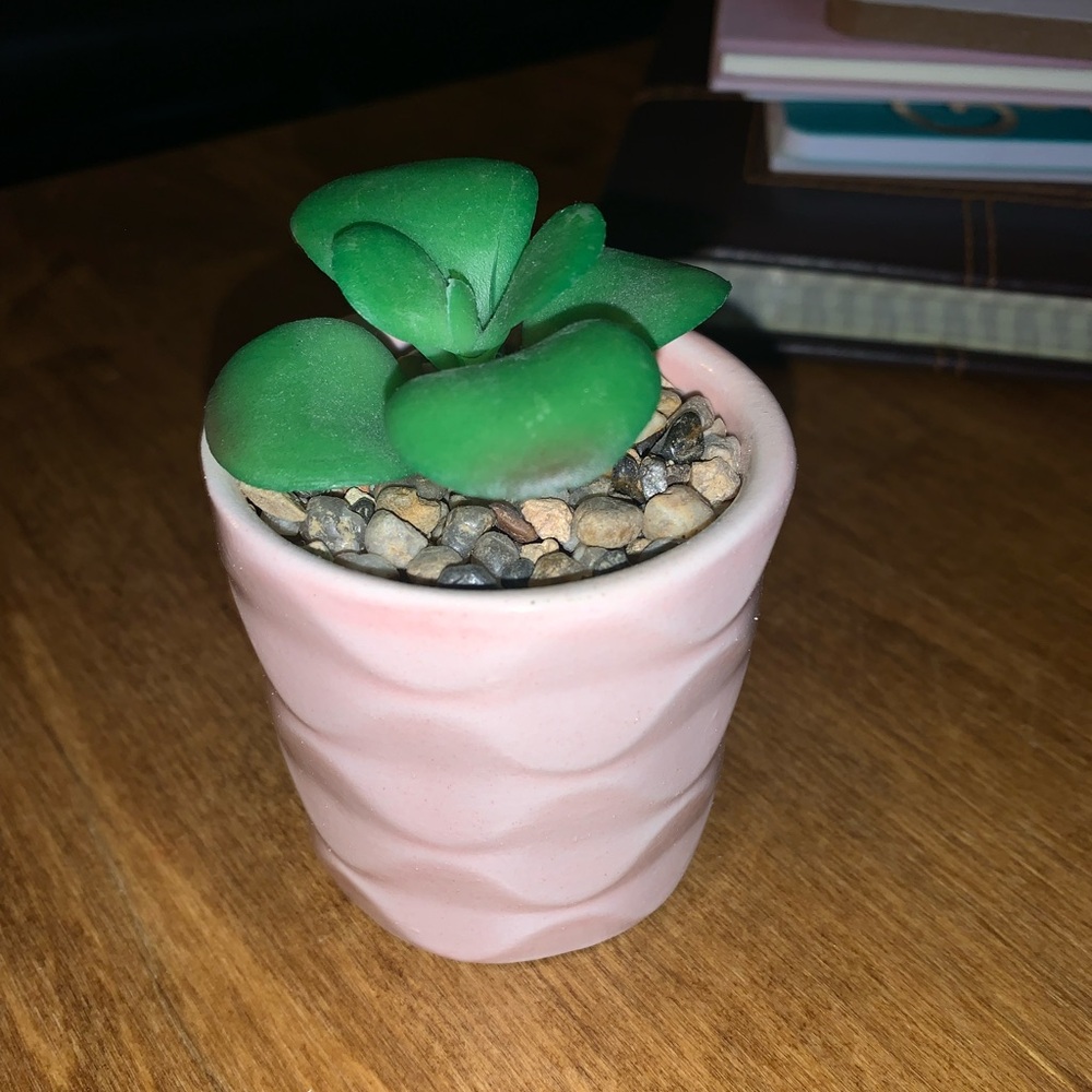 Pink Planter with Faux Green Succulent